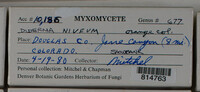Image Associated With the Occurence
